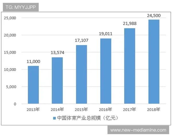 杭州篮球队运营新模式探讨与发展前景分析